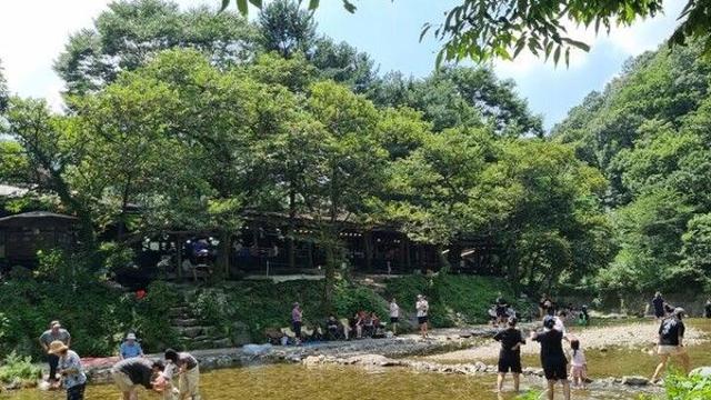 충남권 최고체감온도 33~35도 안팎 '무더위'…밤에는 '열대야'