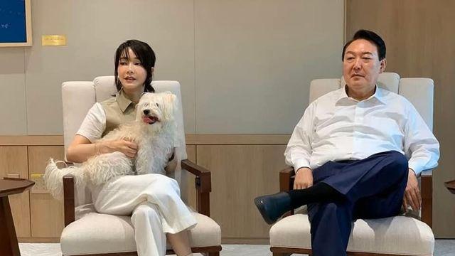 尹 사저에 남겨진 반려동물 11마리…김여사 측근들이 돌보기로