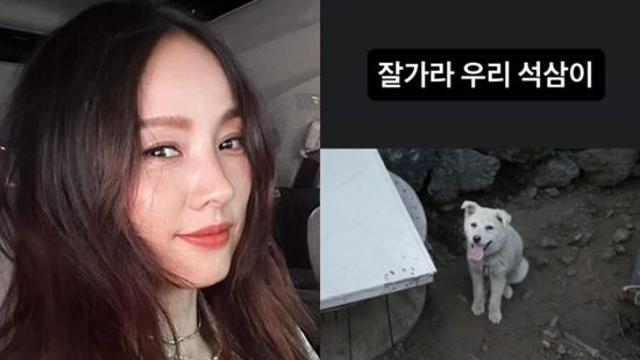 '이상순♥' 이효리, 안타까운 소식 전했다…'암투병' 석삼이와 이별 