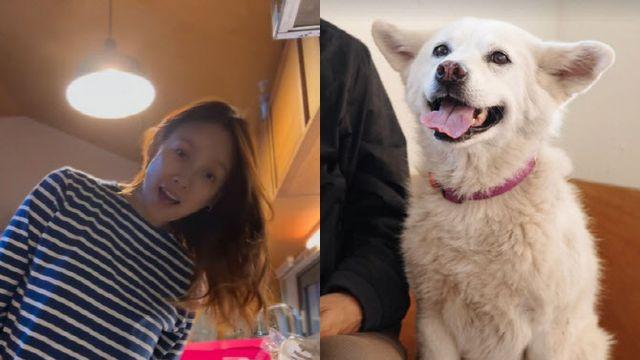 이효리, 암투병 반려견 떠나보내… 
