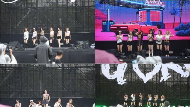 이프아이, 빗속서도 폭발적인 무대… ‘OUF 2025' 달궜다