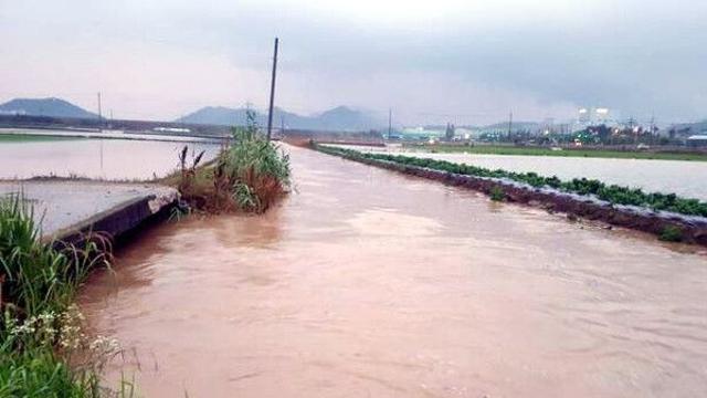 정부, 7월 호우 피해 농업 분야에 재난지원금·금융지원