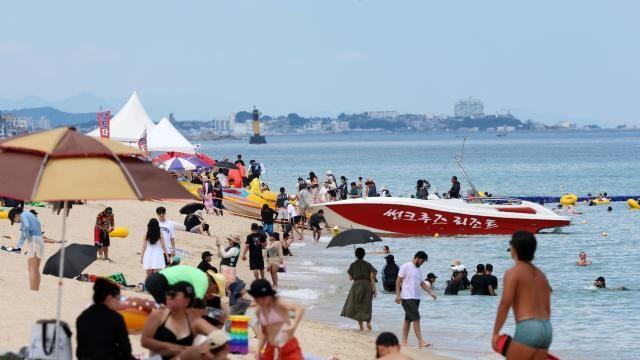 강원 동해안 해수욕장 839만명 방문…작년보다 88만명↑