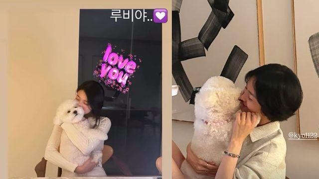 수지X송혜교, 또 집 데이트 했나? 이 우정 찬성이요 [RE:스타]
