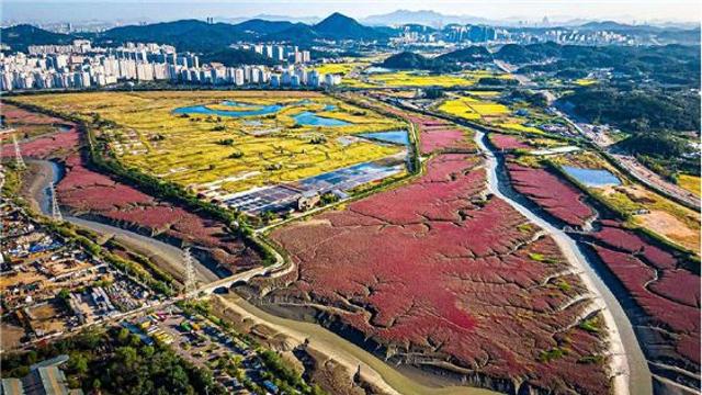 인천시, 소래습지생태공원 일원 국가도시공원 지정 속도