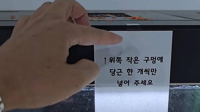 이게 왜 전시장에…수천 마리 바글바글 두 눈 의심케 한 ‘충격 생물’ 정체