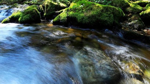 펜션 평상서 술마시다가…60대 남성 계곡으로 추락사