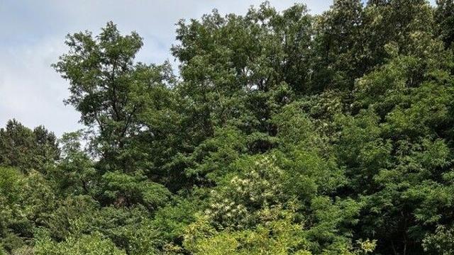 이천시, ‘설봉도자둘레길’ 조성…도자기 길 따라 걷고, 스탬프도 찍자!