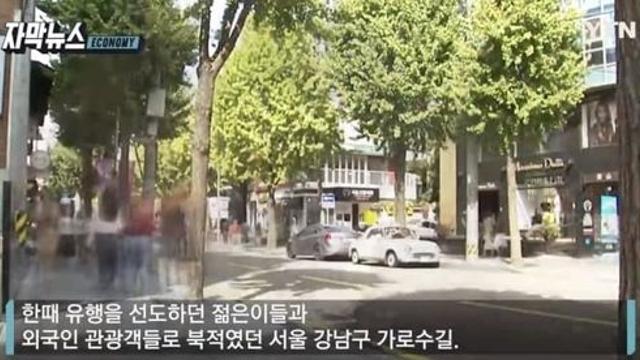 ‘유령 골목’ 전락한 가로수길… 상가 절반 가까이 ‘텅텅’