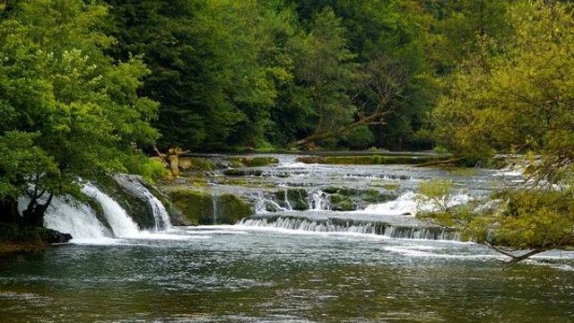 무더운 여름, 시원한 계곡 피서...