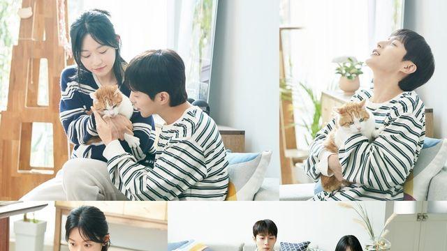 윤두준-김슬기, 이혼 결심→노리는 양보 못해 (냥육권 전쟁)