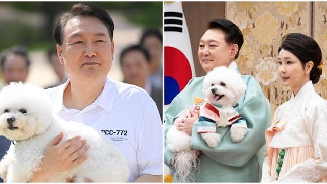 윤 전 대통령 사저에 남겨진 ‘주인 잃은’ 반려동물 11마리…누가 돌보나