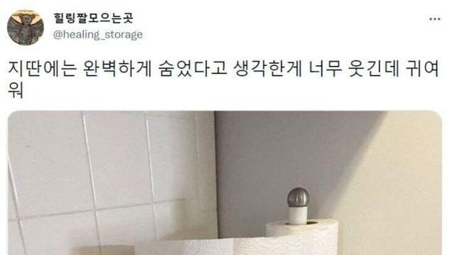 완벽하게 숨은 애옹쓰