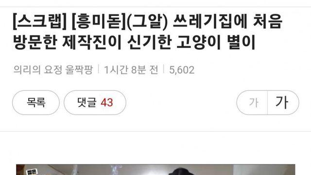 쓰레기집에 방문한 제작진이 신기한 고양이