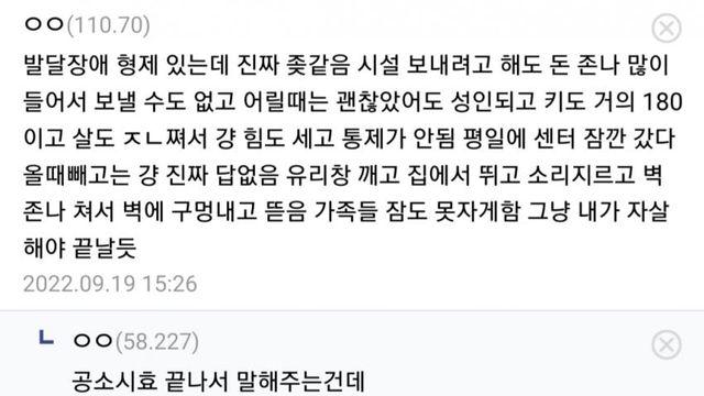 디시인의 자폐가족 대처법