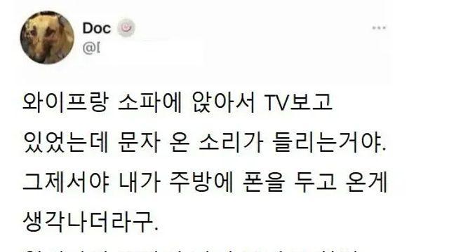 치밀한 아내의 계획,,
