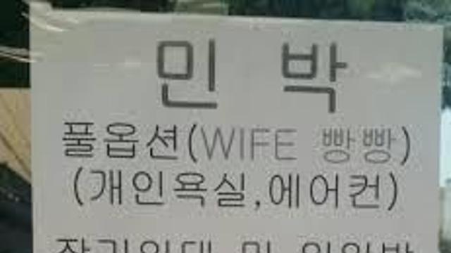 전지적 와이프 수난시대.