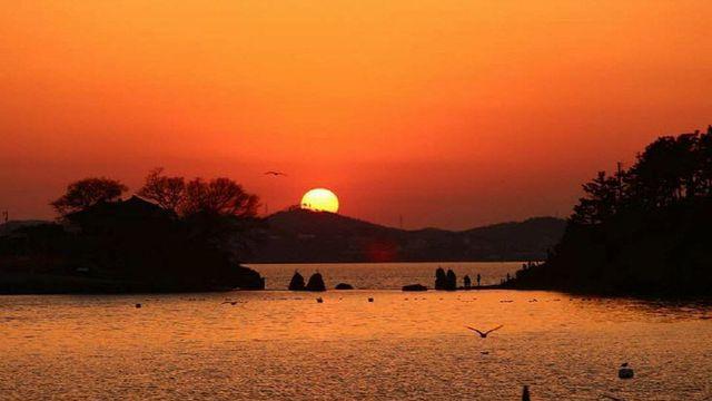 서산 천수만 해안 드라이브, 바다·갯벌·낙조·생태까지 즐기는 풍경 명소