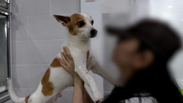 잔혹한 강아지 학대 영상…범인은 남친? (비하인드)