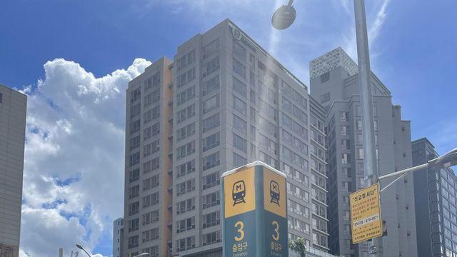 쥬키니형이추천한 초보자코스 관악산 정상까지 간 후기