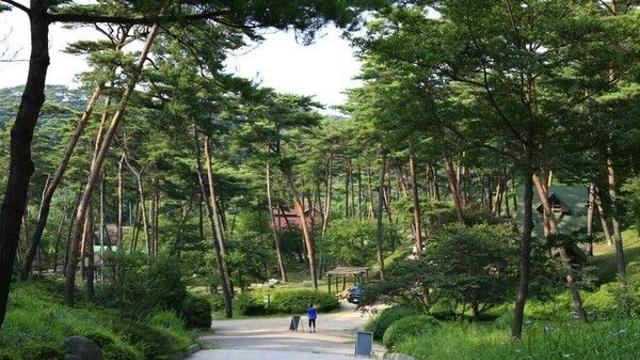 안면도 가볼 만한 곳, 자연과 체험이 어우러진 힐링섬