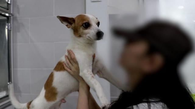 SNS 달군 강아지 학대 영상…”남자친구 두 얼굴에 충격” 잔혹 전말 공개 (비하인드)