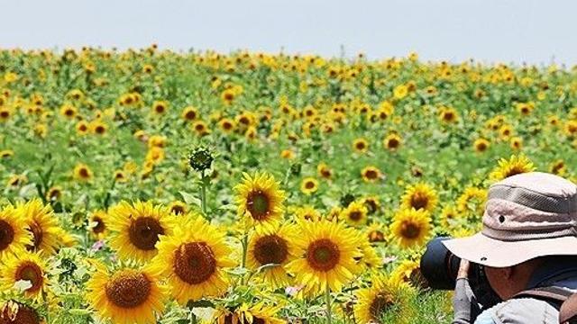 충북 무더위 지속…오후 한때 소나기