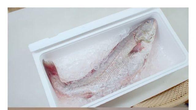 감독이 인도 유학파 출신이면 생기는 일