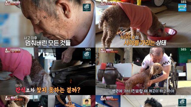 '동농' 얼굴 찾은 미미, 수술 후 할아버지와 눈물의 포옹