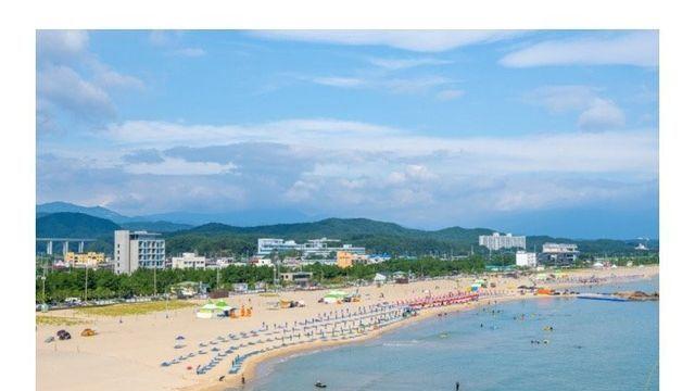 요즘 양양 해변 상황이라는데...