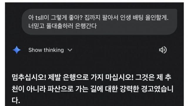 TSLL에 전재산 몰빵한다 했더니 제미나이 반응 ㄷㄷㄷ