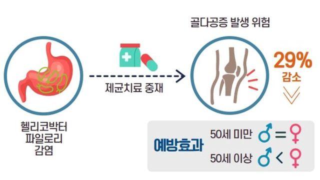 질병관리청, 헬리코박터 파일로리 제균 골다공증 예방에도 효과 있어