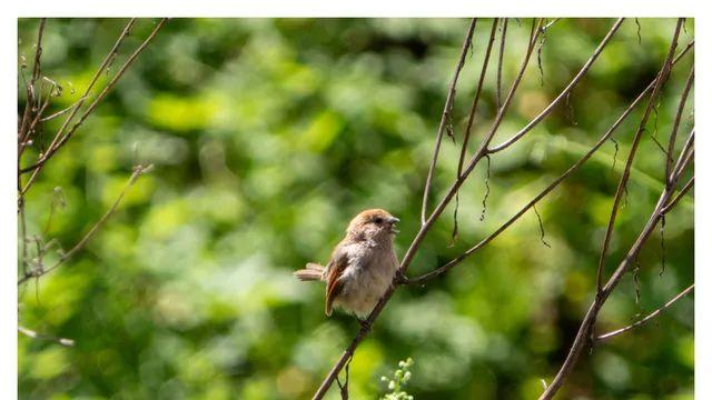 오늘 데일리는 목숨을 걸었다. (14pic