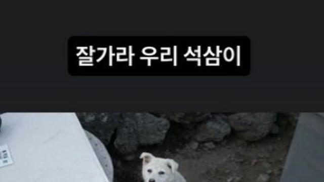 이효리, “잘 가라 우리 석삼이”