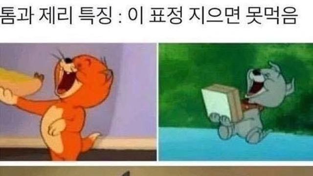 톰과제리 국룰 : 이 표정 나오면 절대 못 먹음