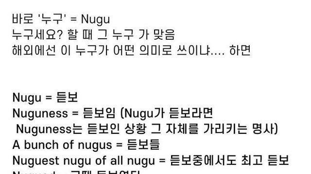 케이팝 유행으로 새로생긴 N-word.jpg