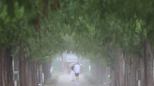 강원 내륙·산지 대체로 흐리고 비…낮 최고 35도 무더위