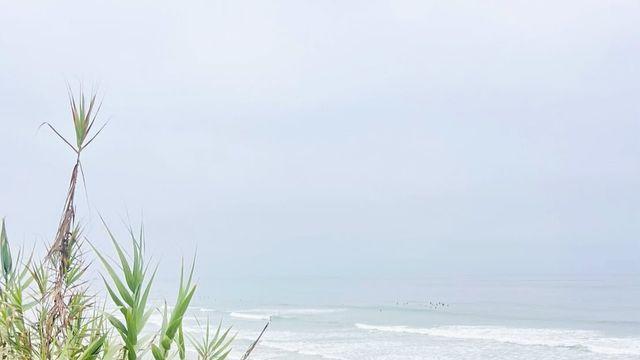 야노 시호, 서핑보드 위의 톱모델! 바다도 반한 올블랙 서퍼룩 파워