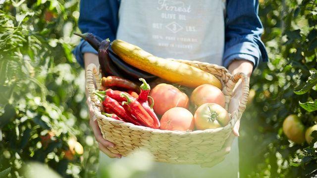 ‘치유농업’으로 정신건강 지키고 스트레스 줄인다