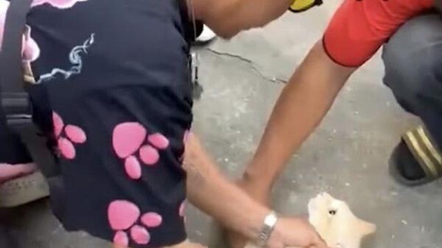 감전된 고양이 살린 ‘기적의 CPR’…”고맙다냥!”