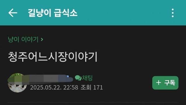 ㄱㄱ) 시장에서 밥주는 캣맘