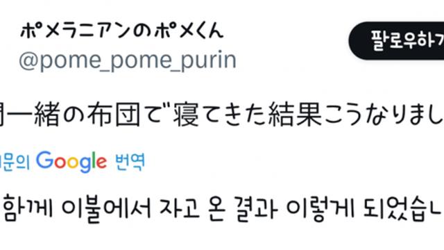 7년 간 함께 이불에서 잔 결과 이렇게 되었습니다