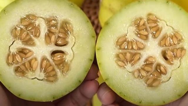 일반 참외와는 확실히 다릅니다…요즘 떠오르는 '망고 참외'