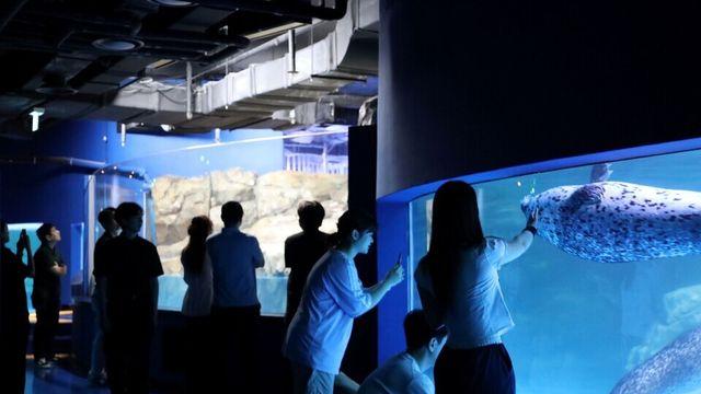 새로워진 '코엑스 아쿠아리움'으로 놀러오세요.....신규 전시존과 이색 체험 공개