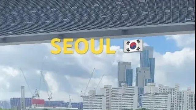 국립중앙박물관 9시 30분 오픈런,,