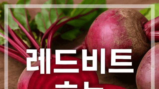 레드비트 효능 알고 마시니 달라지는 부종과 혈압