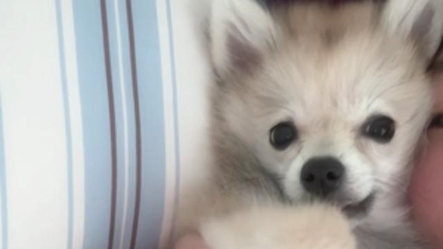 엄마 내가 그르케 조아?