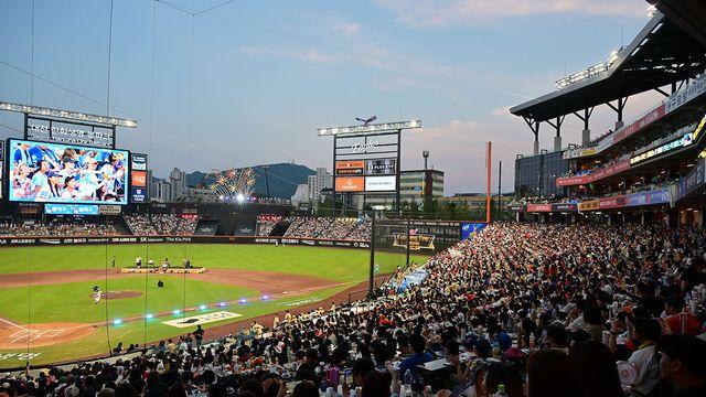 한화 '장애인석→특화석 변경 논란' 대표이사가 직접 고개 숙였다…