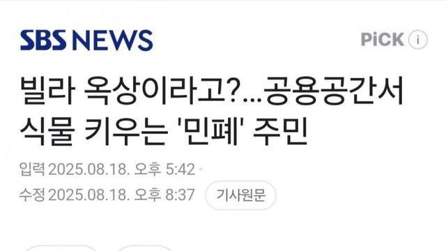 빌라 옥상을 식물원으로 만든 주민