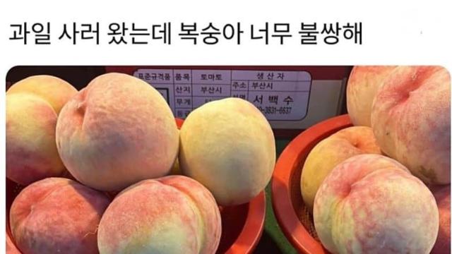 국산 브로커 팝니다